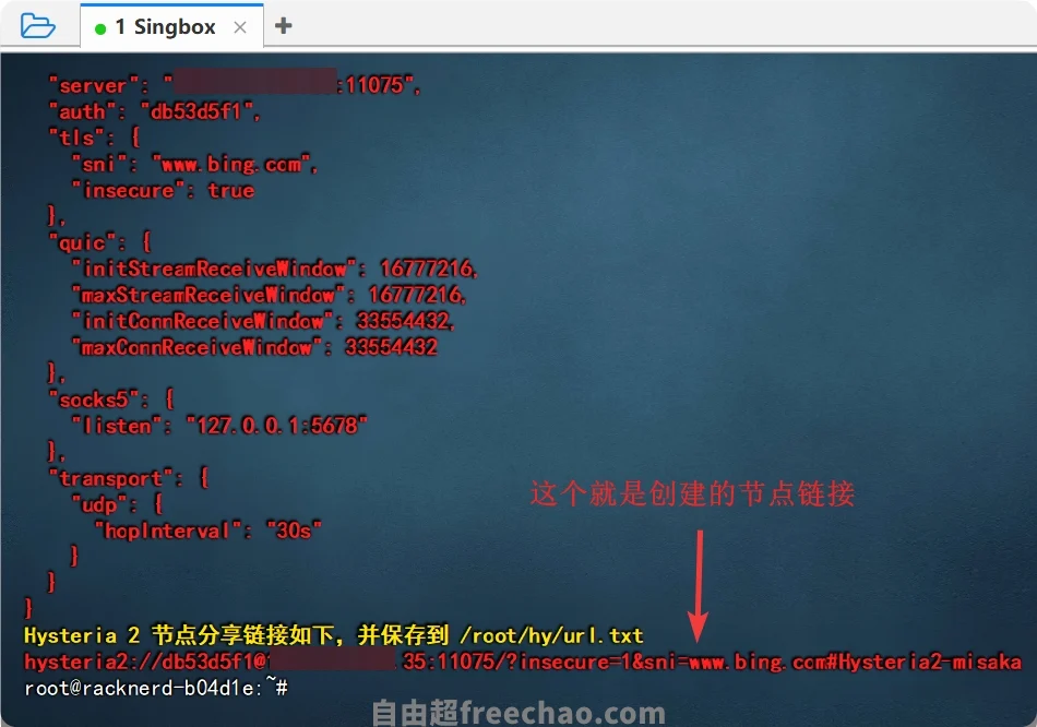 一键搭建Hysteria2协议教程普通VPS福音新手小白极友好05